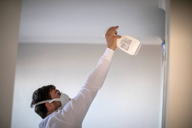 Trusted Asbury, IA Mold Removal Experts