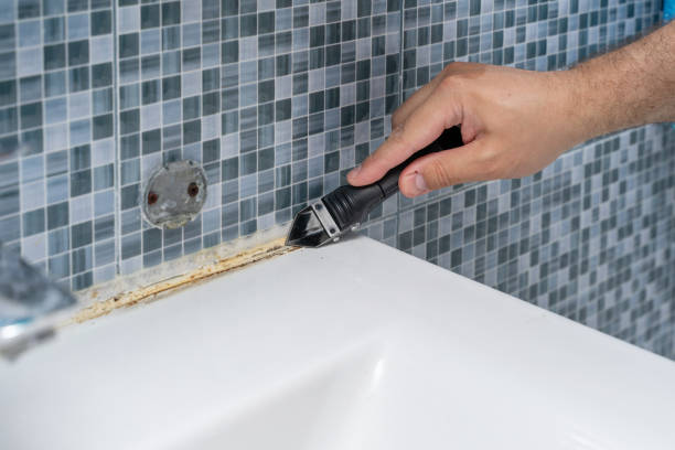 Best Professional Mold Removal  in Asbury, IA