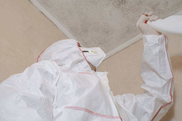 Best Mold Cleaning Services  in Asbury, IA