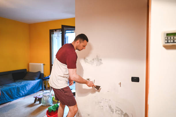 Best Affordable Mold Removal  in Asbury, IA