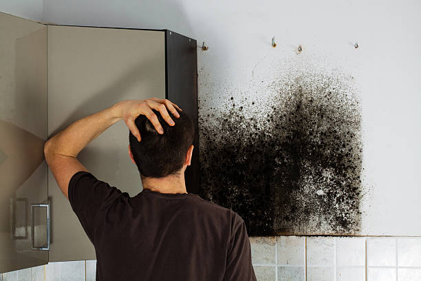 Best Crawl Space Mold Removal  in Asbury, IA