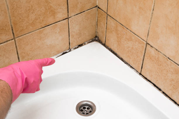 Best Residential Mold Removal  in Asbury, IA